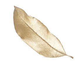 luchiana 2233701518