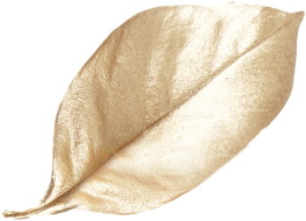 luchiana 2242231634