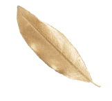 luchiana 2359558945