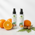 Men's Skin Care